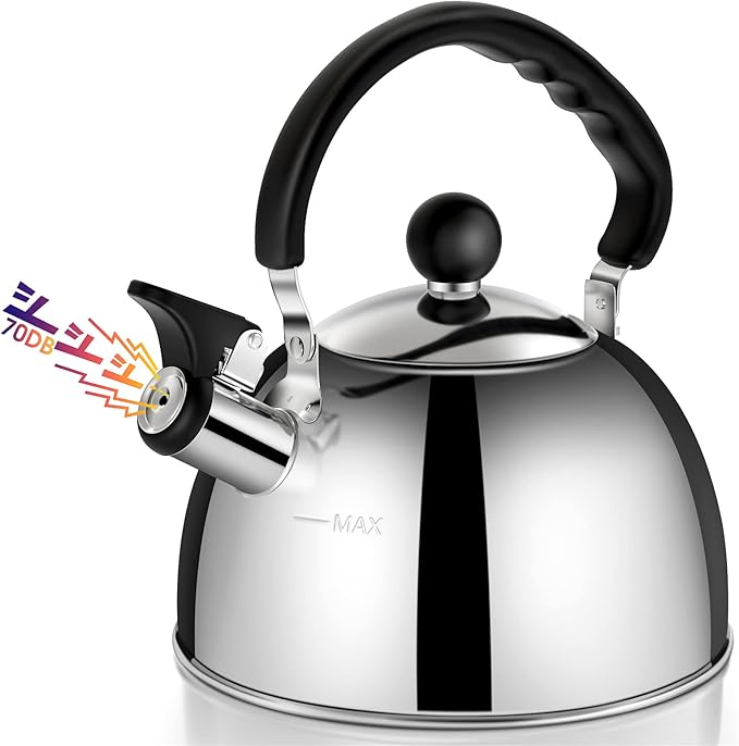 Tea Kettle Stovetop 2.3 Quart Mirror Finished